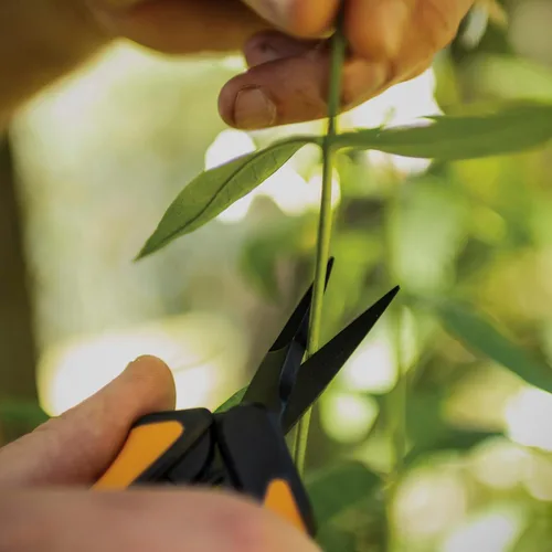 Miniatura 10 de Fiskars 399241-1002 Tijeras de podar con micro puntas, cuchillas antiadherentes, 2 unidades, naranja