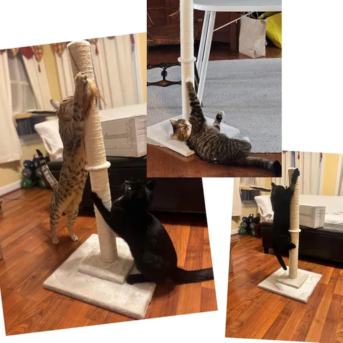 Miniatura 4 de Hutpet Poste rascador para gatos de 34 pulgadas de alto, doble base y diseño de refuerzo, postes de sisal para rascar árboles con juguetes de plumas