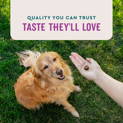 Miniatura 6 de VetIQ Suplemento Avanzado de Apoyo Calmante para Perros, Masticables Calmantes para Perros - Golosinas de Alivio de Ansiedad que Tratan el Estrés