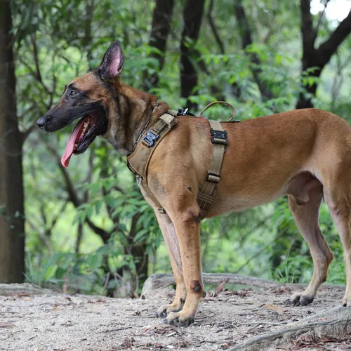 Miniatura 2 de ICEFANG Arnés de correa para perro con 4 hebillas de metal, para perro de tamaño XL, chaleco K9, pecho en forma de Y, arnés ajustable para mascotas