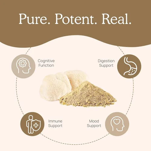Miniatura 2 de Lions Mane polvo de extracto de hongos Real Mushrooms. Certificado orgánico 2.11 oz a granel. Hongo melena de león en polvo, perfecto