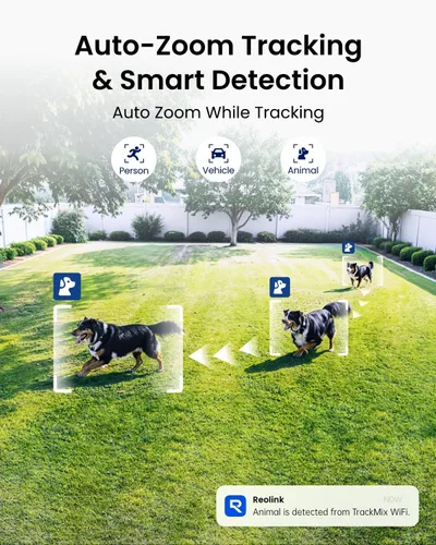 Miniatura 4 de REOLINK 4K Cámara con cable WiFi para exterior, Cámara de seguridad de 8MP con lente dual, Cámara PTZ 360 con seguimiento automático, Wi-Fi Gris