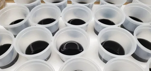 Miniatura 7 de Semillas de orquídeas Sembrando Medios de Plantas Medianas de Cultivo de Gel Tazas Pre-Esterilizadas Listo para Usar Producto (1)