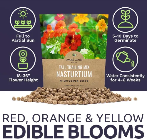 Miniatura 6 de Semillas de capuchina – Colores mezclados – Paquete extra grande – Más de 200 semillas de flores polinizadas abiertas sin OMG – Tropaeolum majus