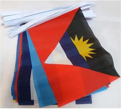 Miniatura 207 de AZ FLAG Señal marítima internacional 42.7 ft BUNTING Flag 40 banderas 9'' x 6'' - Banderas de cuerda del alfabeto náutico 5.9 x 8.3 in