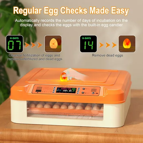 Miniatura 6 de 108 incubadoras para incubar huevos, incubadora de huevos con giro automático y control de humiditu, 6 modos de incubación de temperatura, pantalla