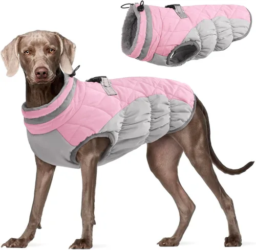Miniatura 59 de FUAMEY - Chaqueta de invierno para perro, chaleco acolchado con arnés, ropa cálida para mascotas, abrigo con cremallera, impermeable, para perros