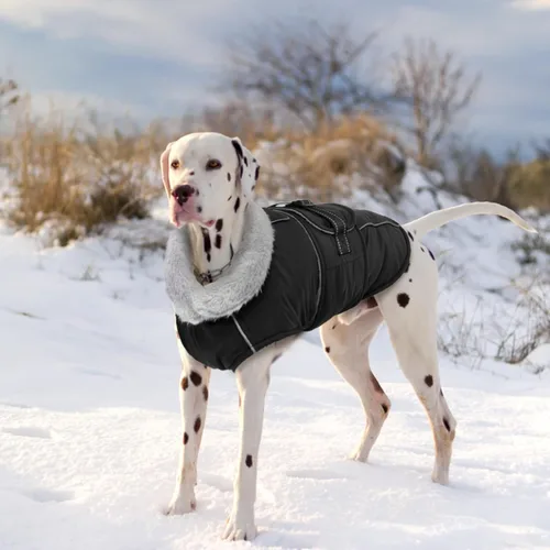 Miniatura 7 de Lelepet Abrigo Cálido para Perro Chaleco de Vellón Reflectante para Perro Chaqueta Impermeable Resistente al Viento Abrigos para Clima Frío de Negro