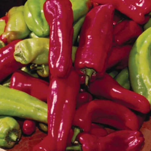 125 semillas de pimiento dulce Cubanelle, sin OMG, reliquia, sin OMG, semillas siempre frescas. Semillas de siembra para huerto doméstico
