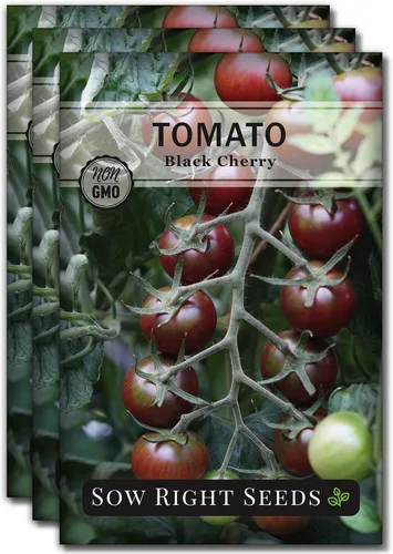 Miniatura 8 de Sow Right Seeds - Semillas de tomate cereza negra para plantar - Paquete de reliquia sin OMG con instrucciones para plantar un huerto casero