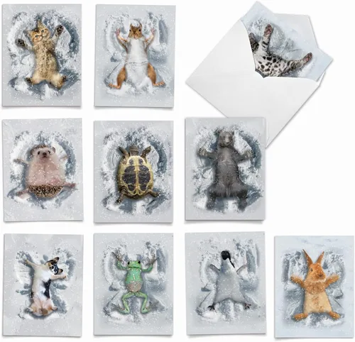 Miniatura 13 de The Best Card Company - Tarjetas de animales en blanco en caja, 4 x 5.12 pulgadas, mascotas surtidas, zoológico, tarjetas de vida silvestre