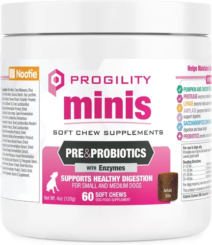 Nootie Progility - Mini suplemento pre y probiótico, suplemento de ayuda digestiva para perros, 60 masticables suaves por envase