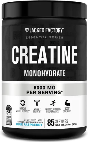 Jacked Factory Monohidrato de creatina en polvo de 15 oz – Suplemento diario de creatina de 0.18 oz para hombres y mujeres, apto para veganos,