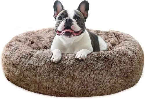 Miniatura 34 de JOLLYVOGUE Cama Calmante para Perros Pequeños - Cama para Perros Pequeños en Forma de Dona Lavable de 23 Pulgadas para Gatitos y Cachorros, Camas