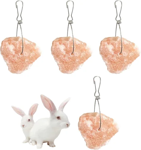 PINVNBY Bloques de sal para conejos, 4 piezas de mascotas pequeñas del Himalaya lamen sal bloque de sal sales minerales naturales con gancho para