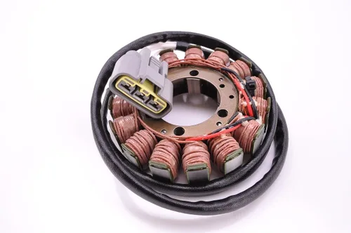 Miniatura 2 de Estator eléctrico Ricks Motorsport 21-234