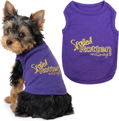 Miniatura 49 de Parisian Pet - Camiseta bordada para perros y gatos, con texto en inglés Sexy and I Know It, XS Sexy y lo sé