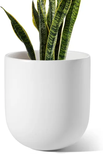 Miniatura 17 de LE TAUCI Maceta para plantas de 10 pulgadas, macetas de cerámica para plantas con orificio de drenaje y tapón de goma, macetas para plantas