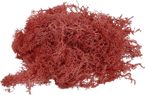 Miniatura 9 de MECCANIXITY Musgo artificial de musgo de 3.5 onzas, musgo artificial preservado natural para manualidades, manualidades, proyectos florales, Negro