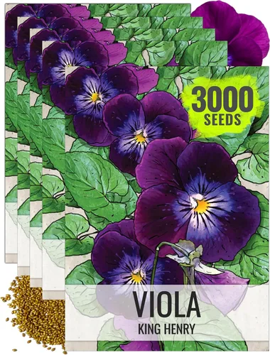 Miniatura 11 de Seed Needs Johnny Jump Up Semillas para plantar violas, reliquia y flores polinizadas abiertas para plantar un jardín de mariposas lleno de flores