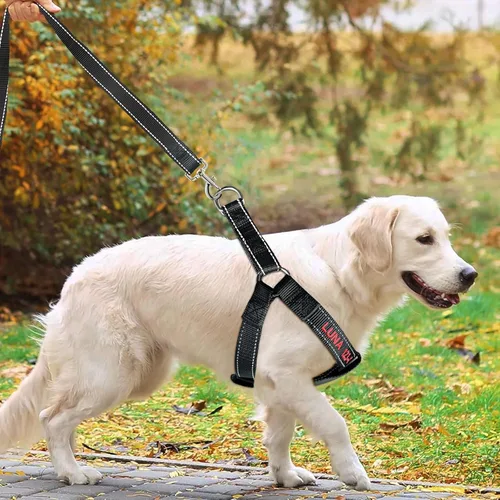Miniatura 5 de Arnés personalizado para perro, arnés personalizado sin tirones para mascotas con nombre y número de teléfono, chaleco ajustable para perro