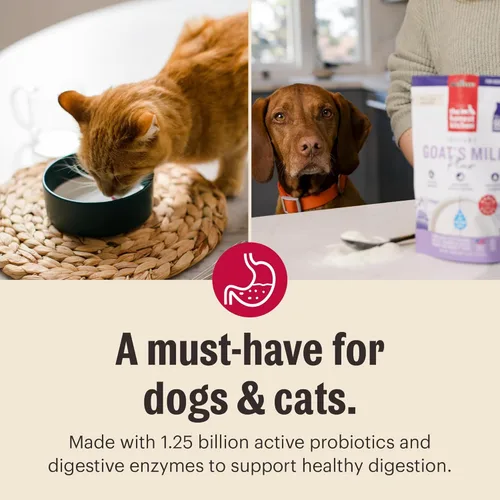 Miniatura 6 de The Honest Kitchen Leche de Cabra Instantánea de Calidad Humana con Probióticos para Perros y Gatos, 5.2 Onzas