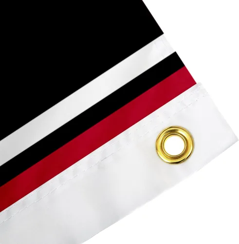 Miniatura 4 de Desert Cactus Bandera de la Universidad de Georgia Bulldogs UGA Dawgs Banners 100% poliéster para interiores y exteriores, banderas de 3 x 5 pies