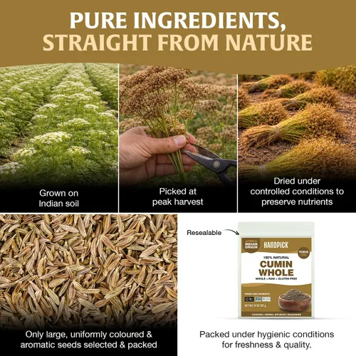 Miniatura 7 de SPICE TRAIN - Semillas de comino orgánico entero de la India (14 onzas), viene en bolsa resellable con cierre, aromático, 100 % crudo, de primera