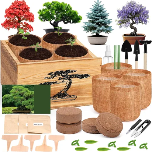 Kit de árbol bonsái de 4 semillas, kit vivo de árbol bonsái para principiantes, fácil de cultivar, kit completo de inicio de jardín interior con