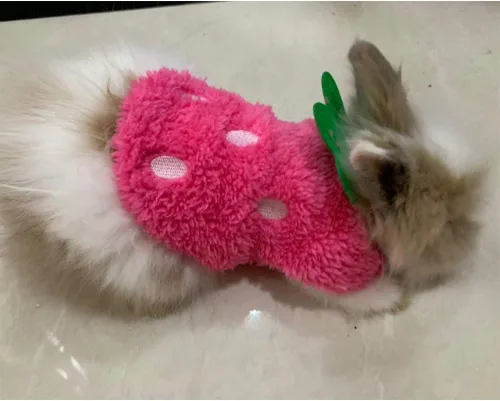 Miniatura 5 de ANIAC Ropa de conejo para conejos, chaleco cálido de gatito, camisa de forro polar XXXS para perro, camiseta acogedora para conejillo de indias