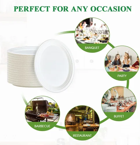 Miniatura 6 de Vplus Platos de papel 100% compostables ovalados 30 cm 125 unidades Platos de papel desechables súper resistentes de bagazo natural biodegradables
