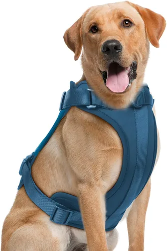 Miniatura 34 de Arnés ligero para perro sin tirones: arnés ajustable y duradero de malla transpirable con cojín suave y cómodo, para perros pequeños, medianos y Lila