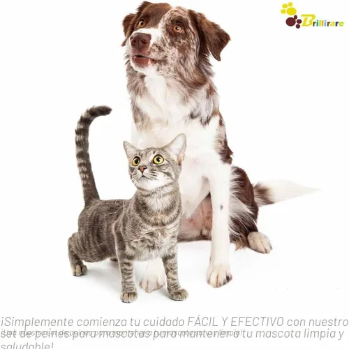 Miniatura 8 de Paquete de 4 peines para piojos de pulgas, peines de acero inoxidable para perros y gatos con dientes redondeados, removedor profesional de manchas