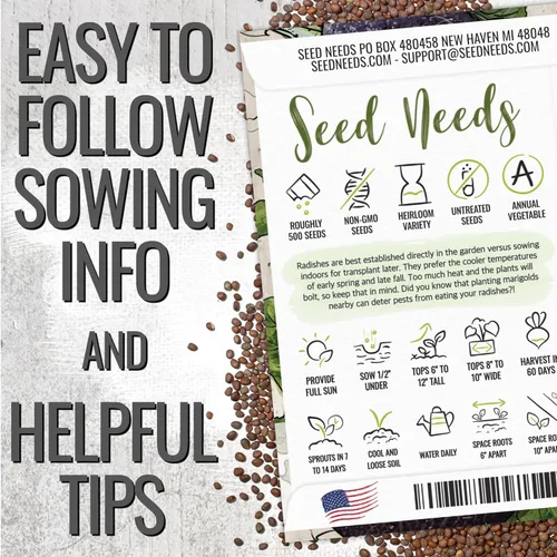 Miniatura 2 de Seed Needs Semillas de rábano para plantar rábanos españoles negros, sin OMG, reliquia y sin tratar, cultiva un huerto cultivado en casa, cultivos