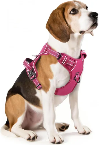 Miniatura 51 de Arnés para perro HEELE para perros grandes sin tirones Chaleco arnés para perro grande con mango acolchado suave reflectante para entrenamiento al