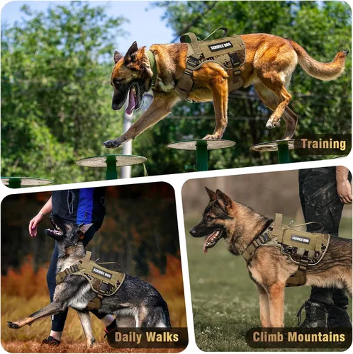 Miniatura 9 de WINSEE - Arnés táctico para perros grandes, chaleco MOLLE de servicio pesado con 10 parches para mascotas, chaleco militar de trabajo sin tirones