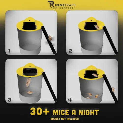 Miniatura 2 de RinneTraps - Paquete de 4 unidades Trampa para roedores, diseño de puerta de trampa, con tapa de cubo con tapa y tapa para roedores humana