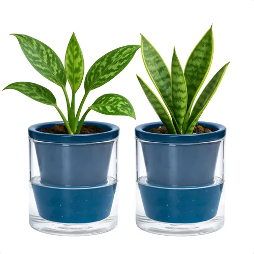 D'vine Dev Maceta de Diseño de Riego Automático de 4 Pulgadas para Plantas de Interior, Maceta de Terracota Azul con Vaso Cilíndrico de Vidrio,