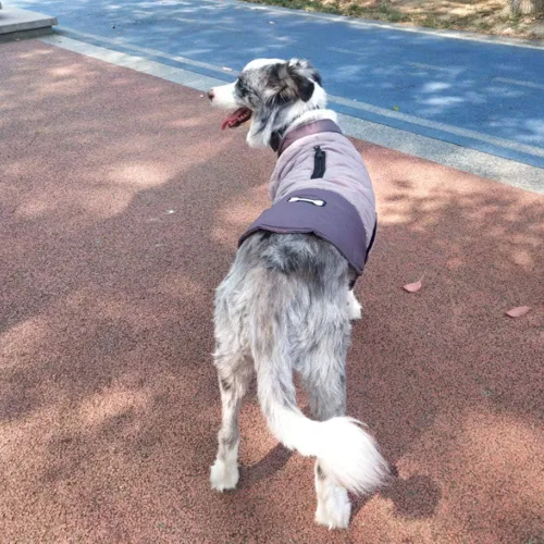 Miniatura 4 de Abrigo de invierno para perro, chaqueta reversible para perro, impermeable, reflectante, para clima frío, para perros pequeños, medianos y grandes