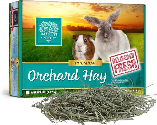 Miniatura 8 de Small Pet Select Orchard Grass Hay - Alimento para mascotas para conejos, cobayas, chinchillas y otros animales pequeños, heno natural premium