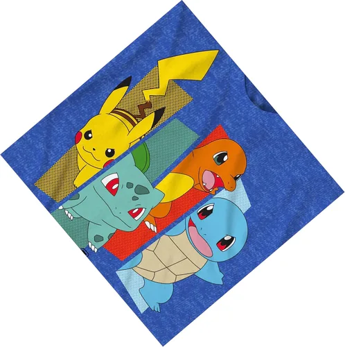 Miniatura 6 de Pokemon Big Boys Charizard Camiseta de manga corta - Pokemon Gotta Cath 'EM All Group