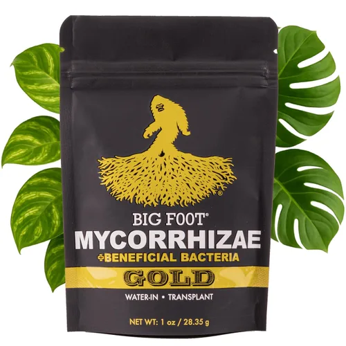 Big Foot Gold Hongos micorrízicos 28 g, bacterias beneficiosas para el crecimiento de las plantas, estimulador de raíces, fórmula súper concentrada