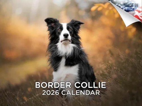 Miniatura 24 de Calendario 2025 2026 de cachorros Cocker Spaniel - Calendario mensual de pared de raza de perro - 12" x 24" abierto - Papel grueso sin sangrado