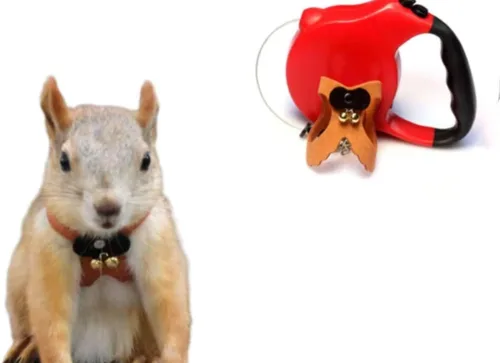 Miniatura 7 de Correa de cuerda de tracción de ardilla, cuerda de cadena antimordeduras, arnés para caminar pequeños animales con correa extensible para hámster