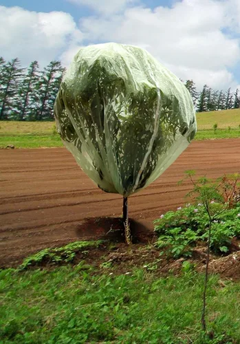 Tierra Garden 50-3530 Haxnicks - Cubierta para árboles frutales de 13.1 x 13.1 pies, fácil de usar, cubre y protege las plantas de climas duros,