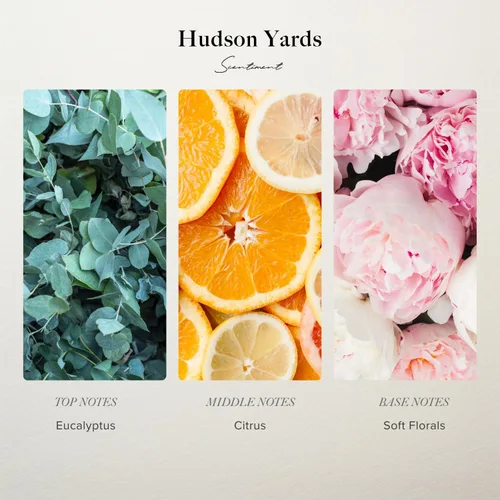 Miniatura 2 de Aceite Difusor Scentiment - Hudson Yards Fragancia para Aromaterapia del Hogar Inspirado en el Hotel Equinox® Aroma Lujoso con Notas