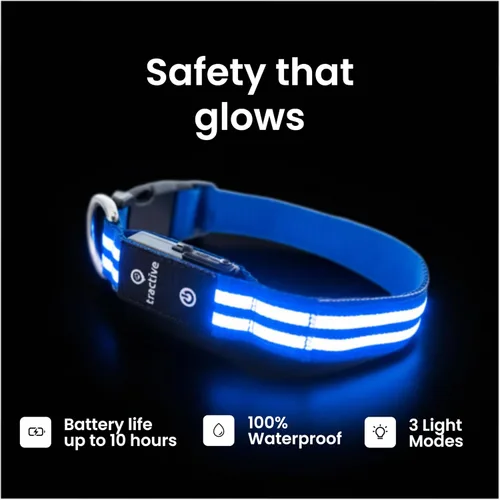 Miniatura 3 de Tractive Collar de perro con luz LED recargable USB impermeable (azul)