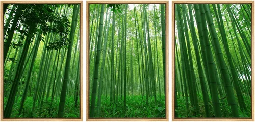 Miniatura 14 de wall26 Lienzo enmarcado para pared, juego de arte debajo de los tallos de bambú verde, naturaleza, desierto, fotografía, realismo, contemporáneo