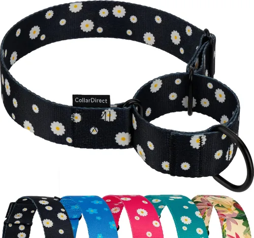 Miniatura 15 de CollarDirect Martingale - Collar de nailon resistente para perros pequeños, medianos y grandes [nailon, estampado, aguamarina, L, 15-20 pulgadas)