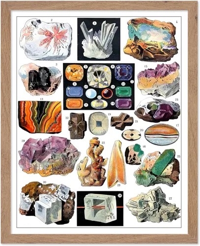 Miniatura 76 de Poster Master Póster vintage de miel, impresión retro de La Vie De L'Abeille, arte de panal de abeja, arte de pared de abeja, regalo para hombres